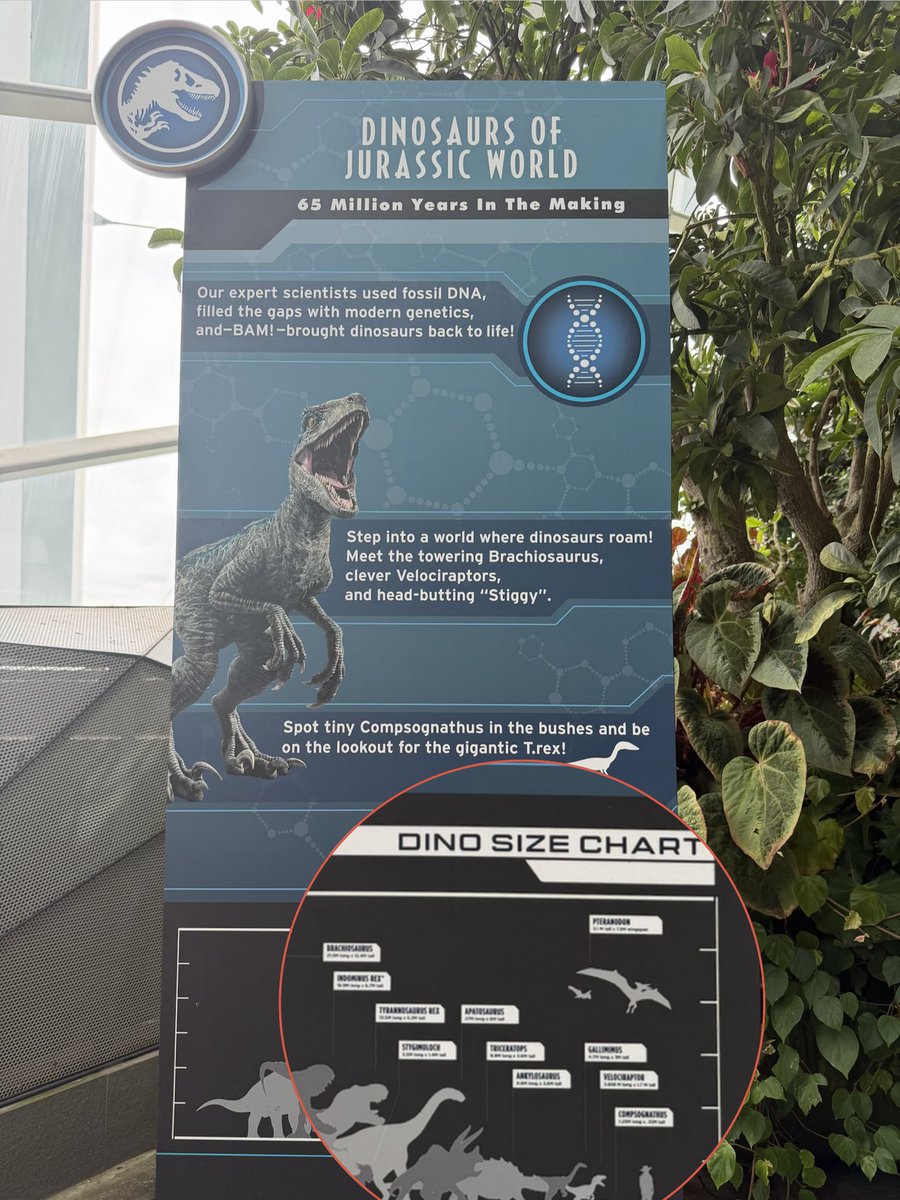 Size chart 🤔
#rawr