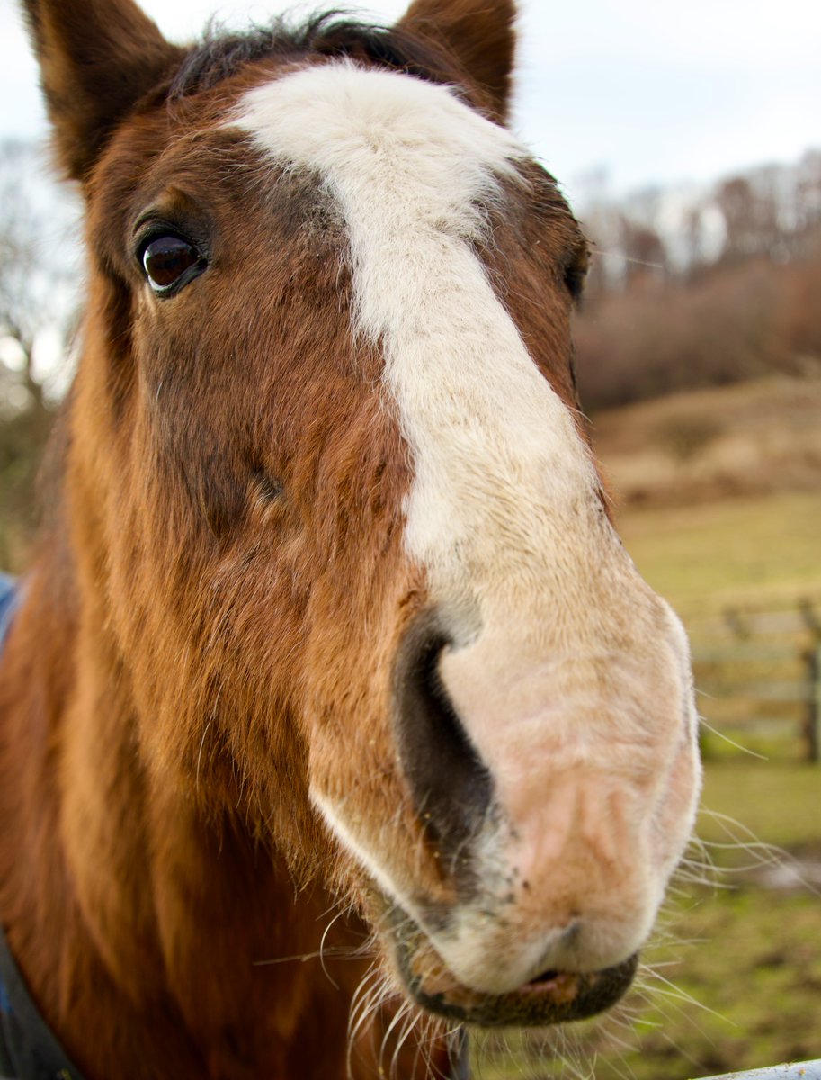 アライン tweet media