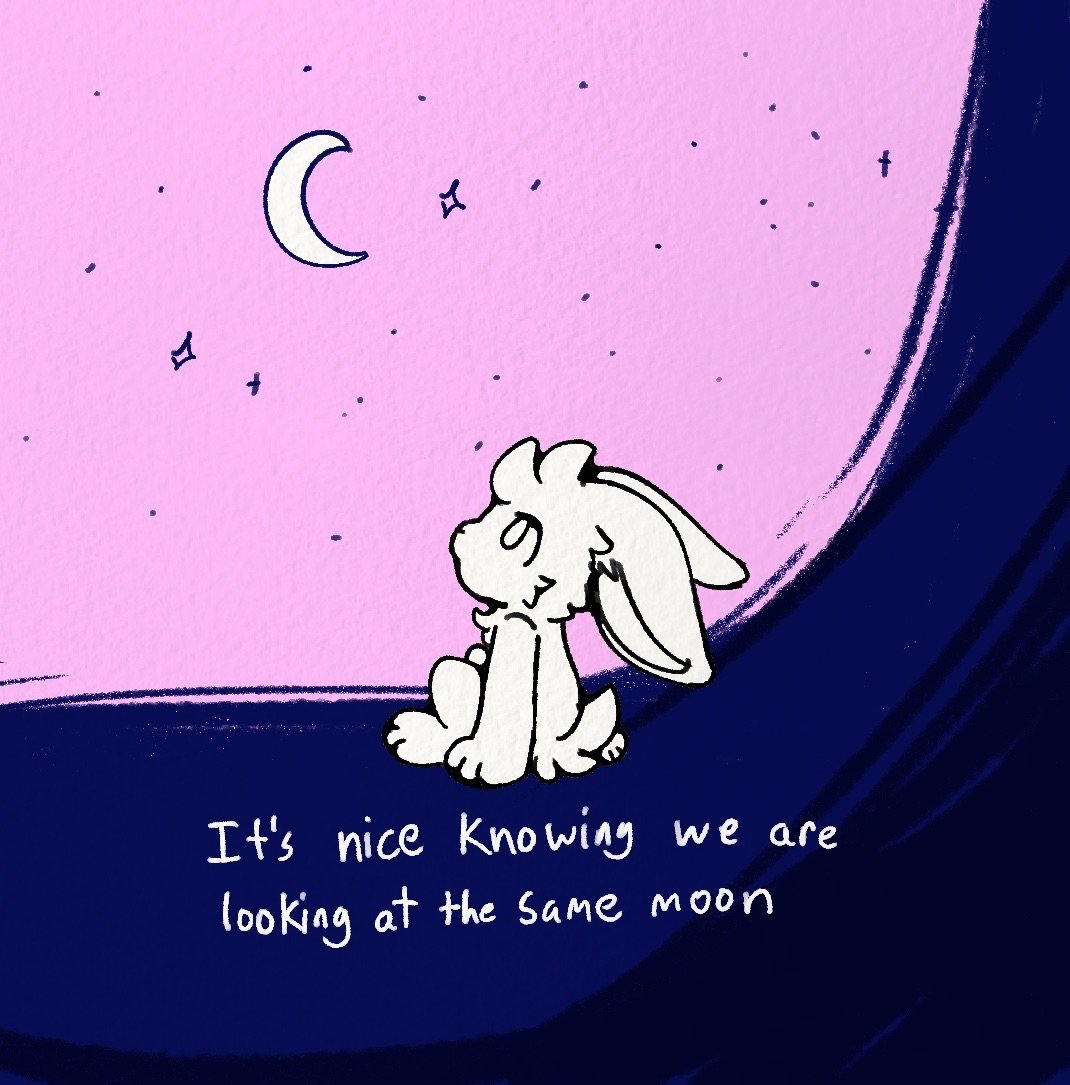 JitterPaws's tweet image. 🌙