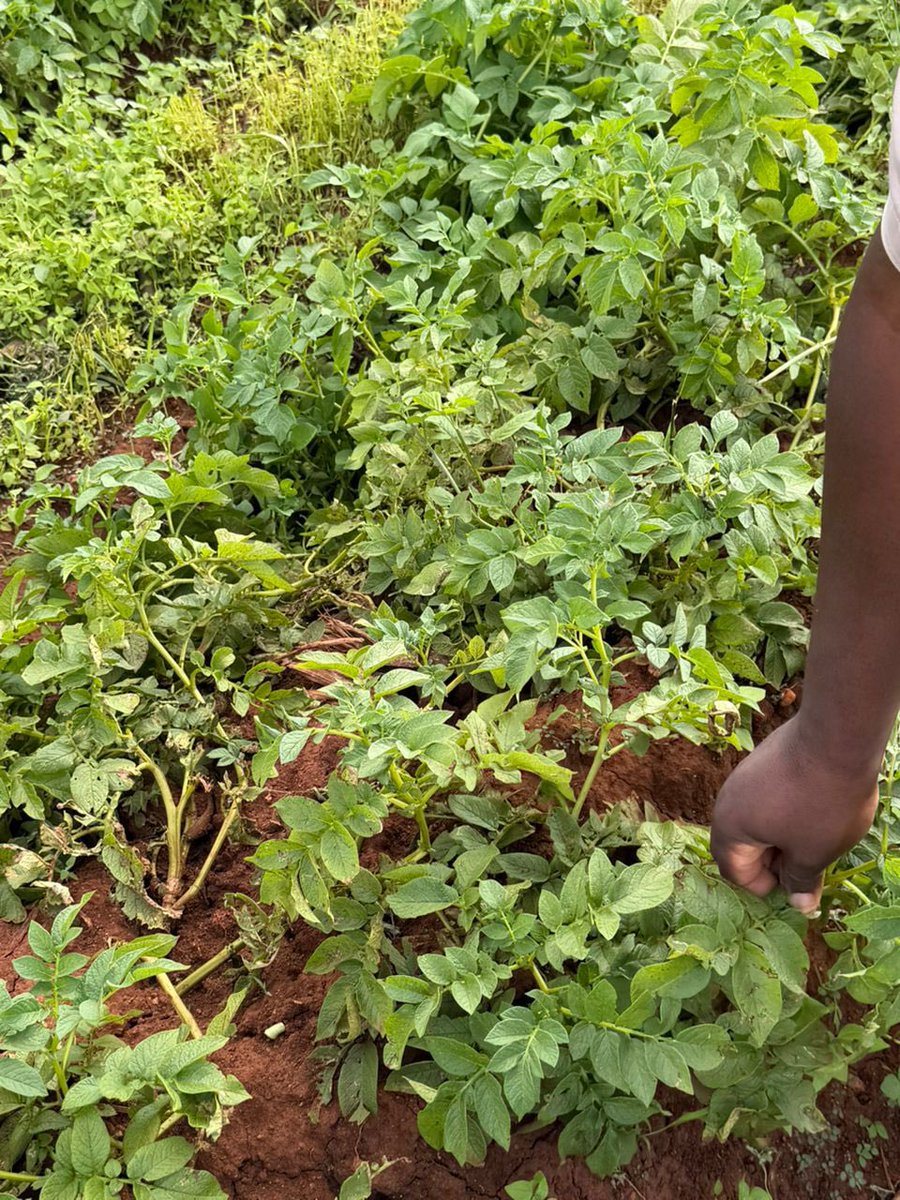 CP Chemicals Pvt Ltd tweet media