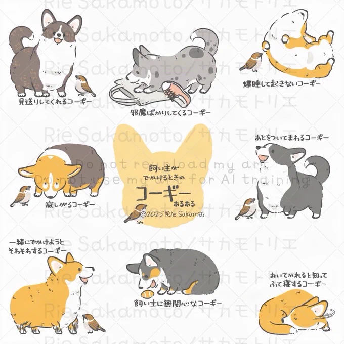 家飼い主がでかけるときのコーギーあるある(9/9)
#コギまるけ #CORGIMARUKE 