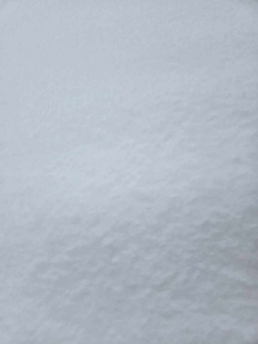 🌸.∘ のんちゃん 🐰*⋆ฺ (@nonnon8305) / Posts / X