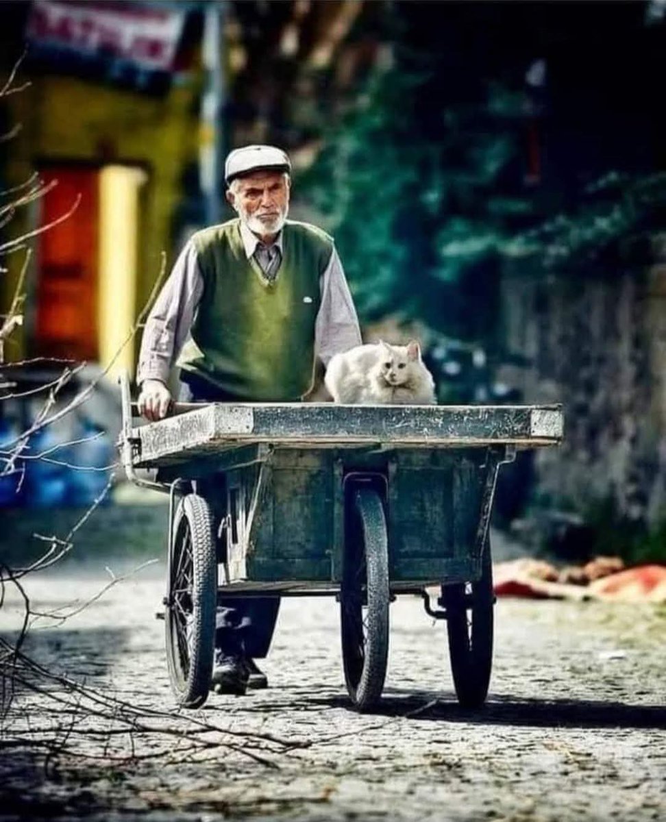 Mutlu sabahlar günaydın.
☕🍫🎼