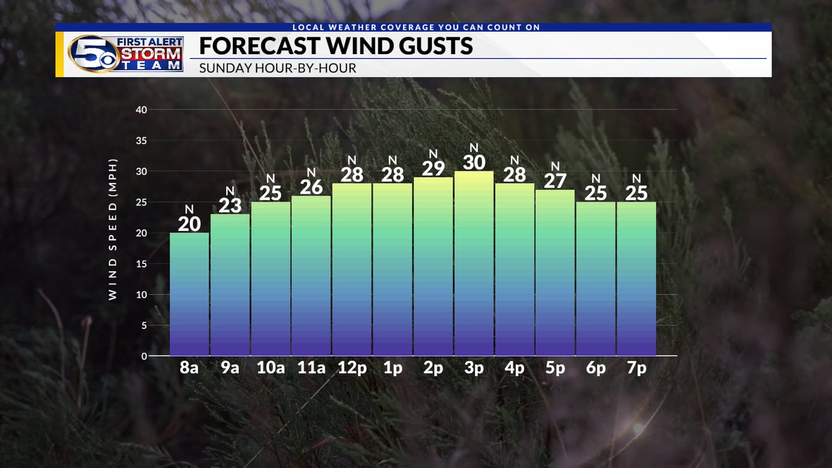 Temperatures will stay on the warm side for Saturday ahead of a cold front. Winds will pick up Sunday with gusts up to 30 mph. Get ready for frigid air Monday morning. tinyurl.com/yd2nxwbn