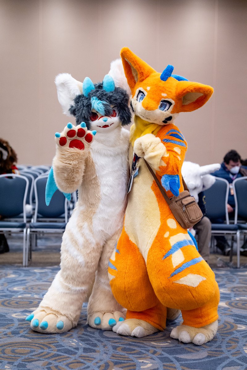 yellyXP's tweet photo. Vanilla ice cream fennec fox #FursuitFriday #MFF2025 

📷: @gryphonfluff https://t.co/xlu6pQjhHE