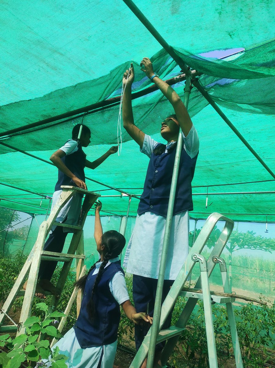 FALIAgriculture's tweet photo. Branching out, breaking barriers! 🌱 https://t.co/ycNdpNKro9