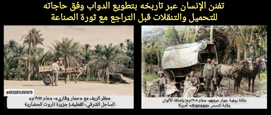 «توظيف الدواب»
كانت وسيلة عمل ومواصلات، تزويدها بالطعام وقود القوة، و«تسبيحها بالماء» للعناية؛ لأجل كسب الرزق.
بدأت دواليب الحركة الخشبية في حضارة سومر قبل آلاف الأعوام، لمواكبة الصناعة والأعمال وتسهيل الحركة وزيادة الأحمال؛ تطورت بالابتكار وتقادم الحضارات.
#تراث_زكي_العوامي