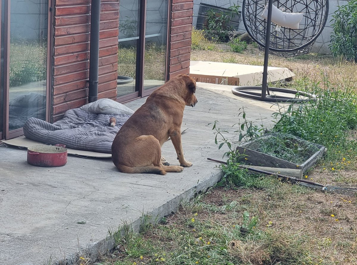 eCashtab 🌎🔺 tweet media