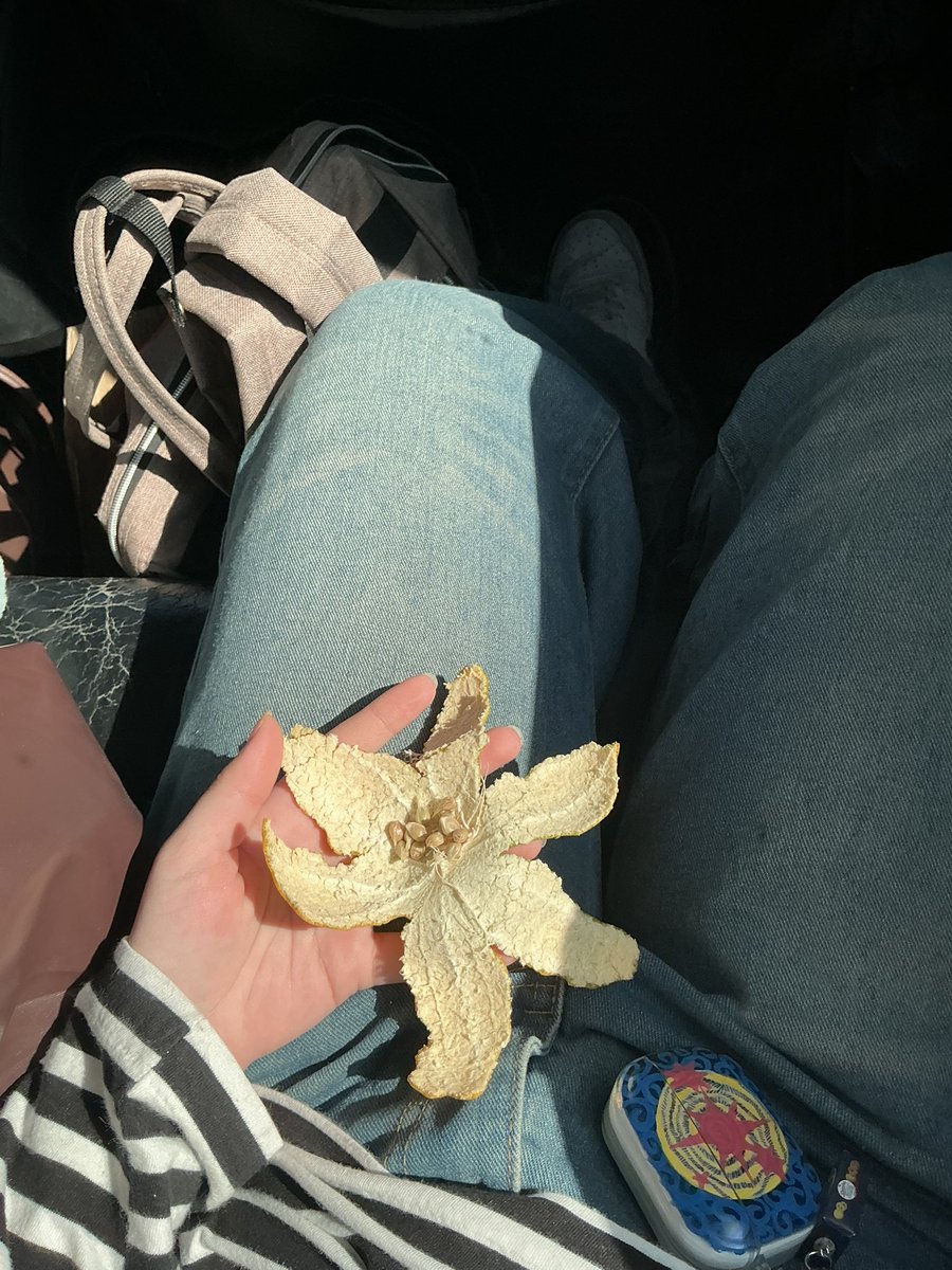 wentercandy's tweet image. 