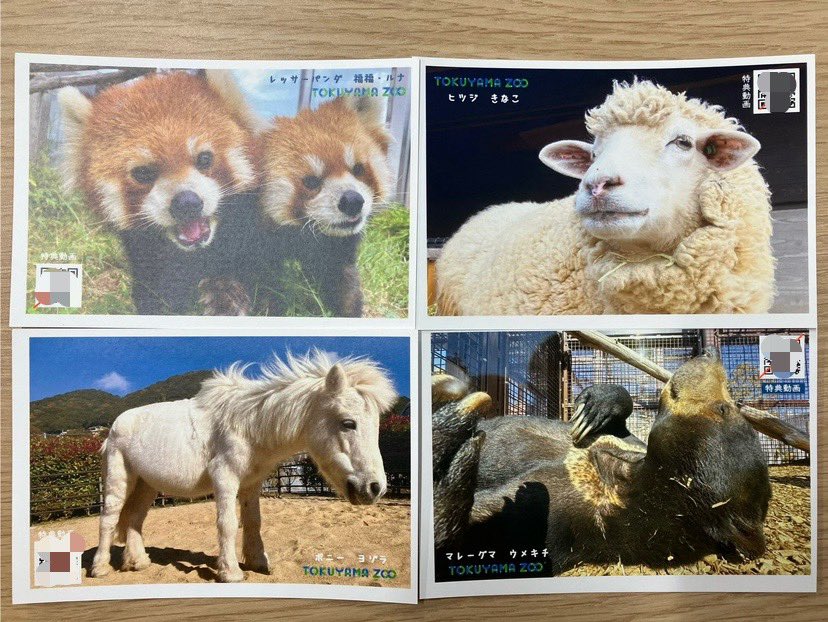 pearl pearl (@pearlpe70243943) / Posts / X