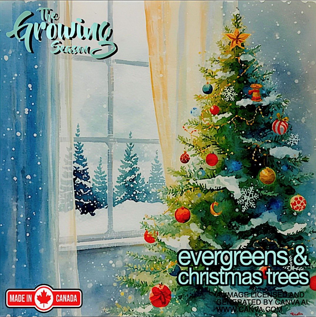 Artificial or real trees to most kids it doesn’t matter as long as it’s decorated and lit with gifts beneath. Join The Growing Season for their Evergreens and Christmas Trees Show on December 13 and 14 at 10:00am  @Sauga960am.  Enjoy!  growingseasoncanada.com