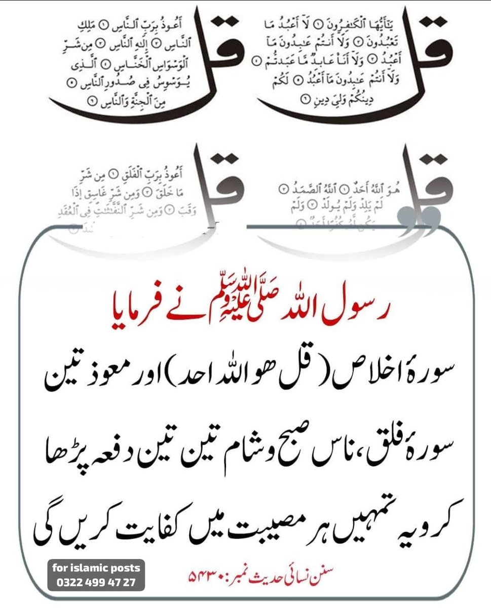 Shahid Raجput.🇵🇰 tweet media