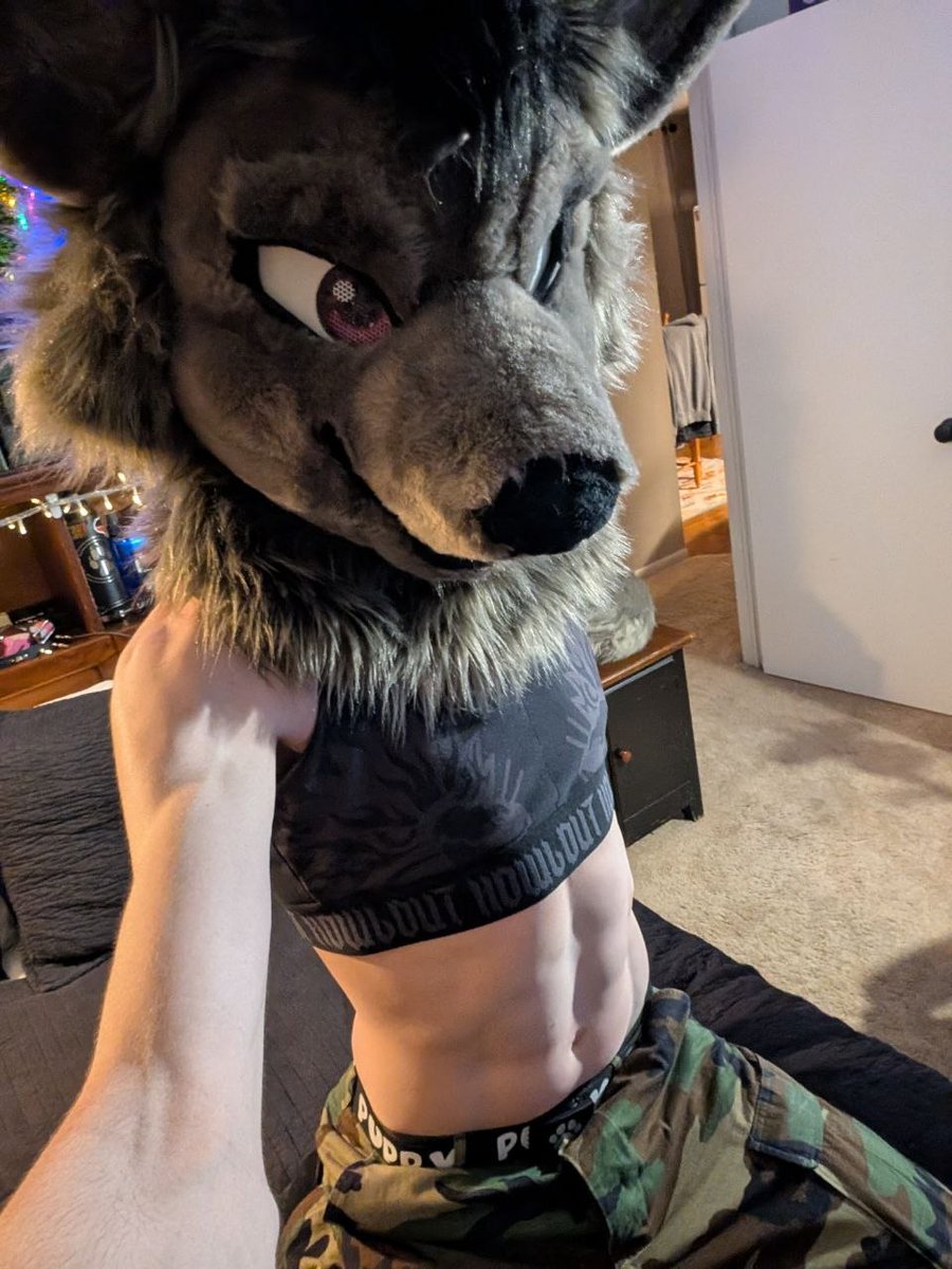 theSecurityWolf ➡️FWA tweet media