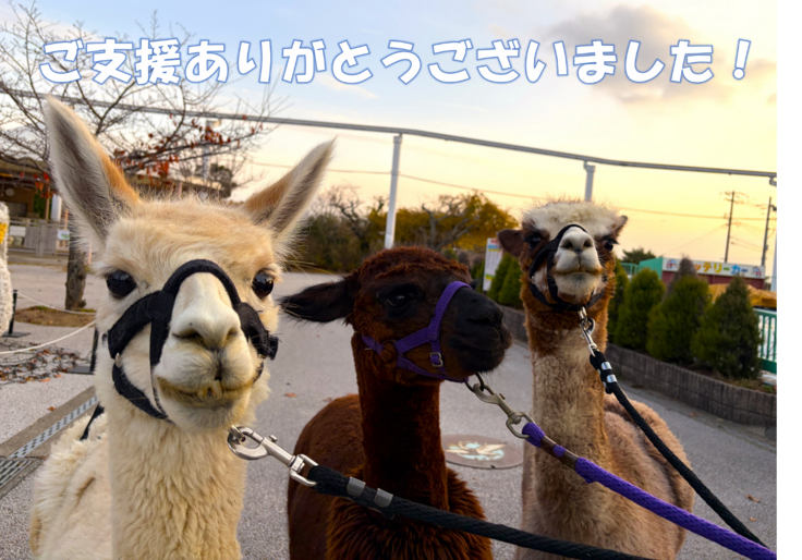 ときわ動物園 ときわ動物園 - ときわ公園|山口県宇部市