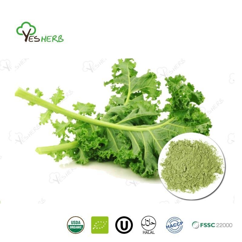 AnYuensun's tweet image. Lifewe Kale Powder is partly water-soluble and packed with nutrients, making it perfect for food supplements, smoothies, and superfood products. Add natural goodness to your recipes and enjoy the health benefits of kale every day! #Lifewe #KalePowder #Superfood