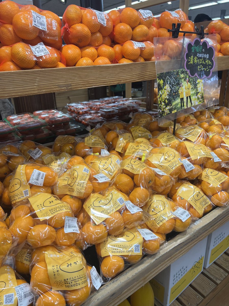 本日の朝採り館🍓 新鮮な野菜や果物がたくさん並んでいます！