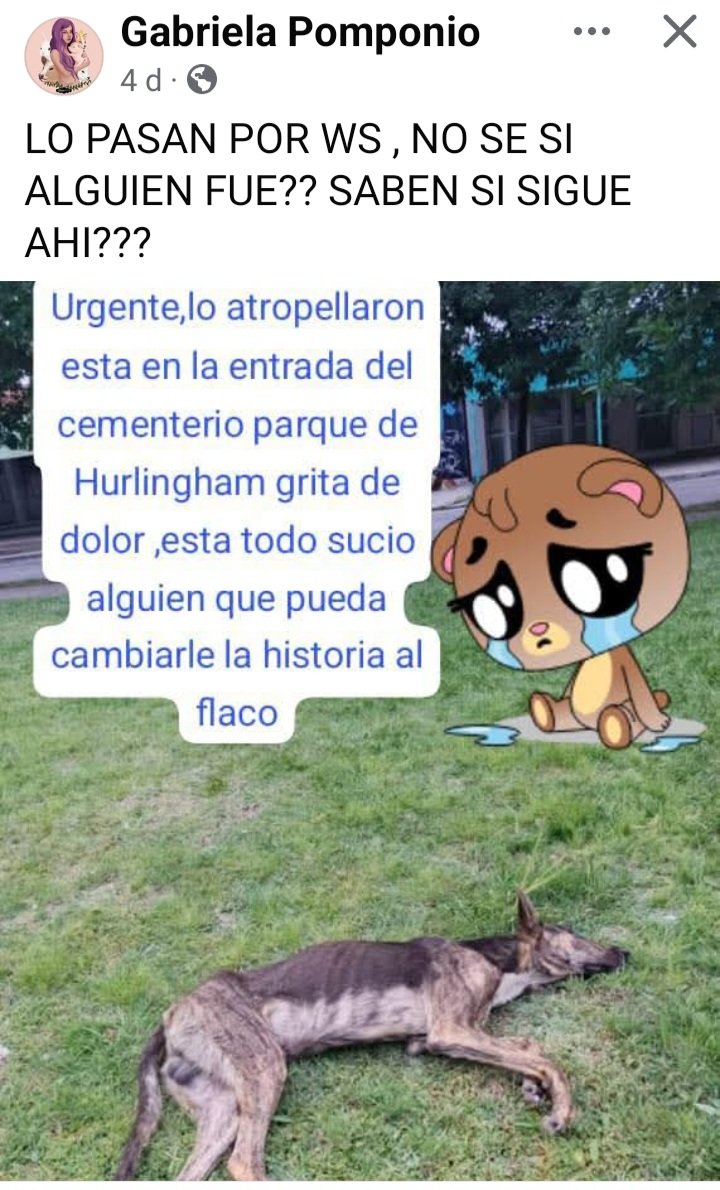 Ayuda 🥺🙏🙏🙏🙏🙏🙏
#hurlingham