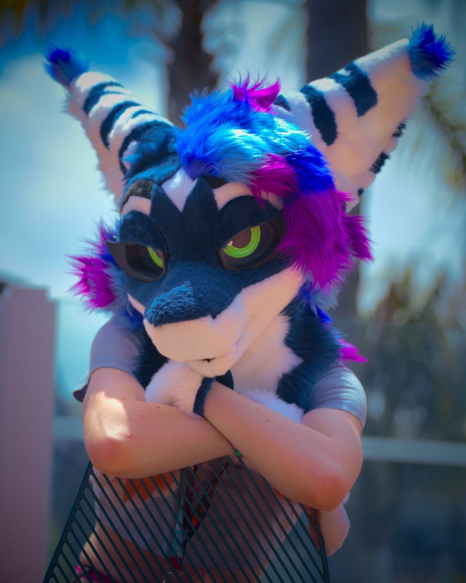 Rocket🇳🇿 tweet media