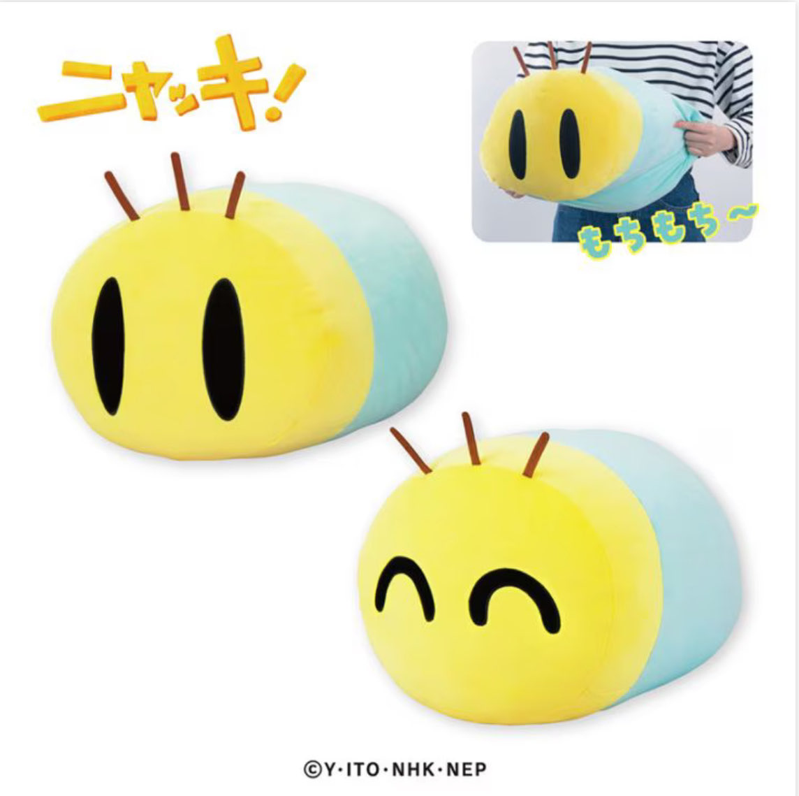 ニャッキ！ もちもちぬいぐるみ 登場🧸
