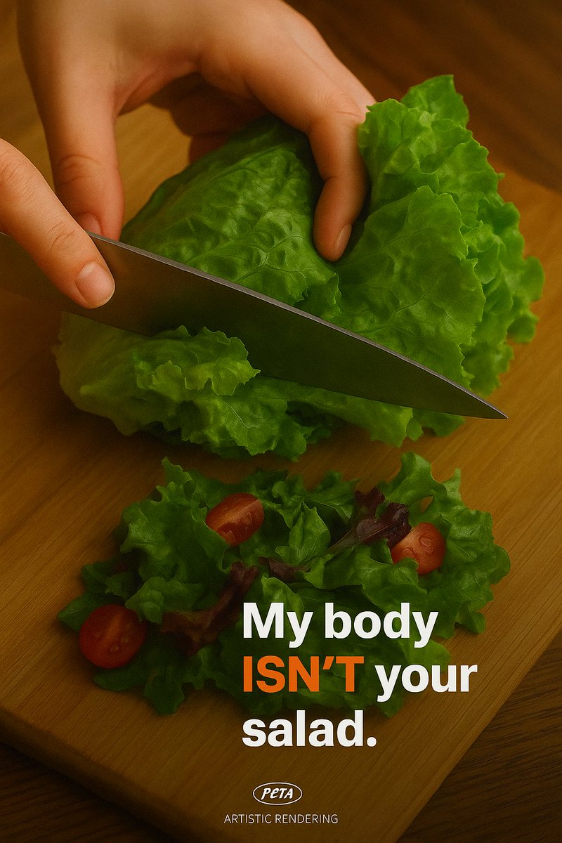 rutoakabu's tweet image. That ‘salad’ was someone meant to grow in wild, ride winds , and feel sunlight. They shouldn't be on your plate.