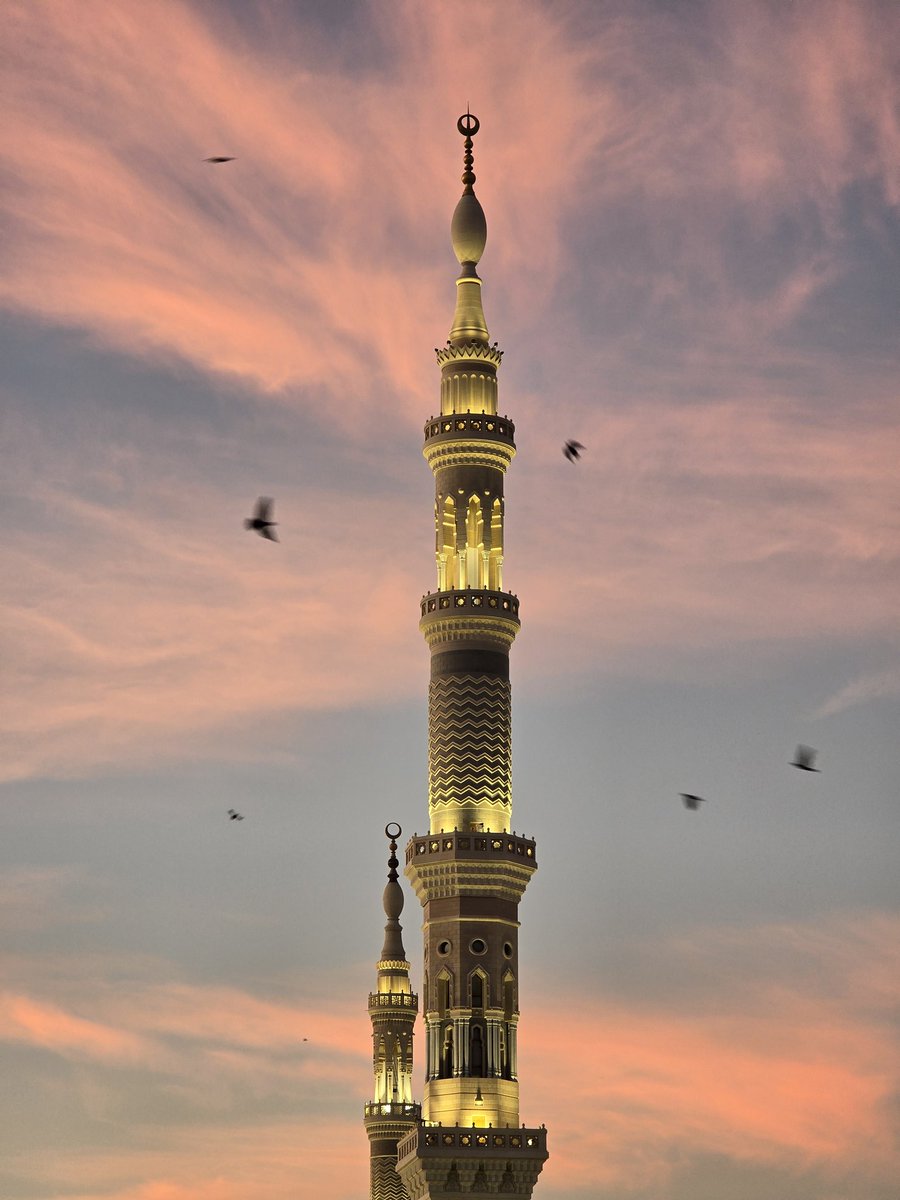sukkaryeater's tweet image. Post fajr

#madinah