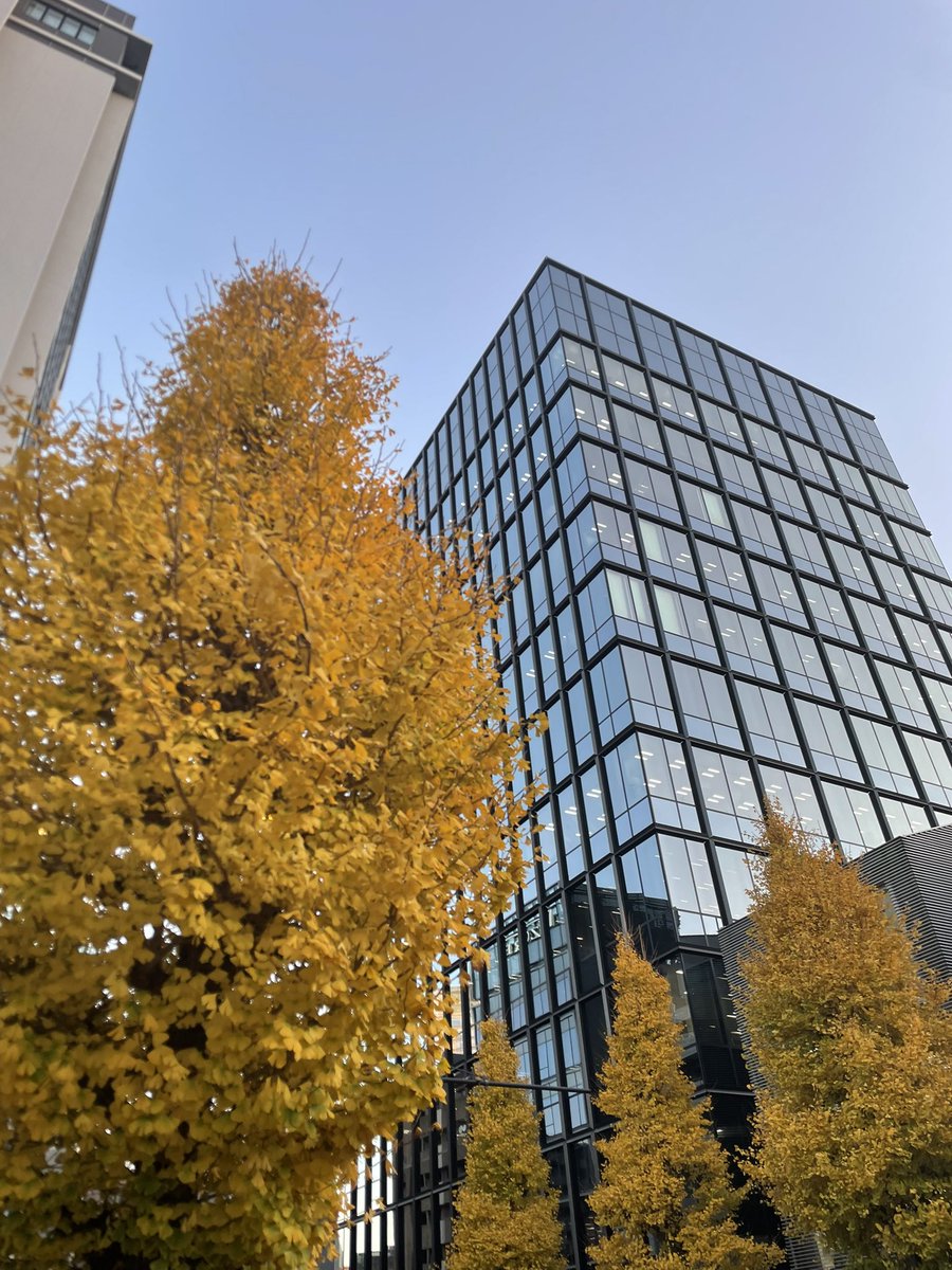 oji3E's tweet photo. 本日は一号店にも二号店にもかけつけますので🍻
たくさん思い出話など語り合えたらと思います( ´ ▽ ` )♪ https://t.co/JZgmAOk7oV