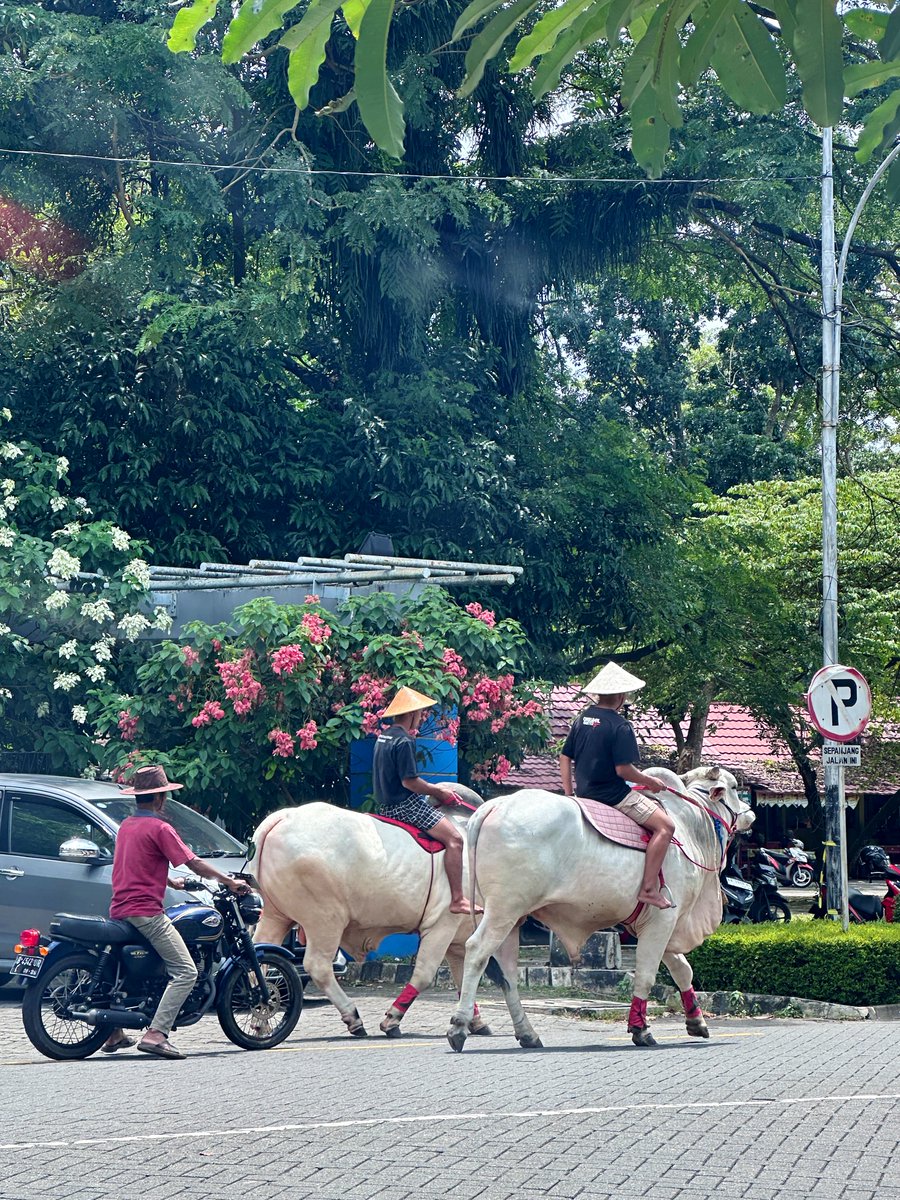 nabiylarisfa's tweet image. #cumadiUGM