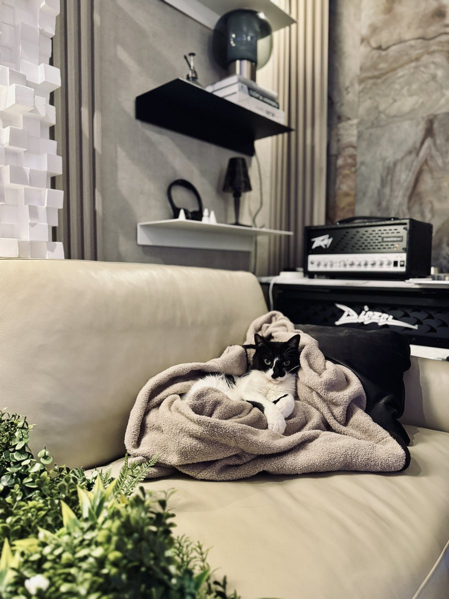 響介 (@HOMEALONe_ksk) / Posts / X