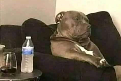 dekim_Kalvino's tweet image. Married men waiting for their breakfast which will be served at 12 noon today....