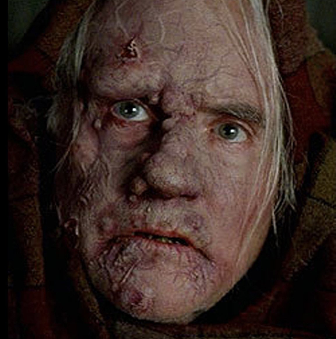 Gonna tell my kids this is Steve Bannon