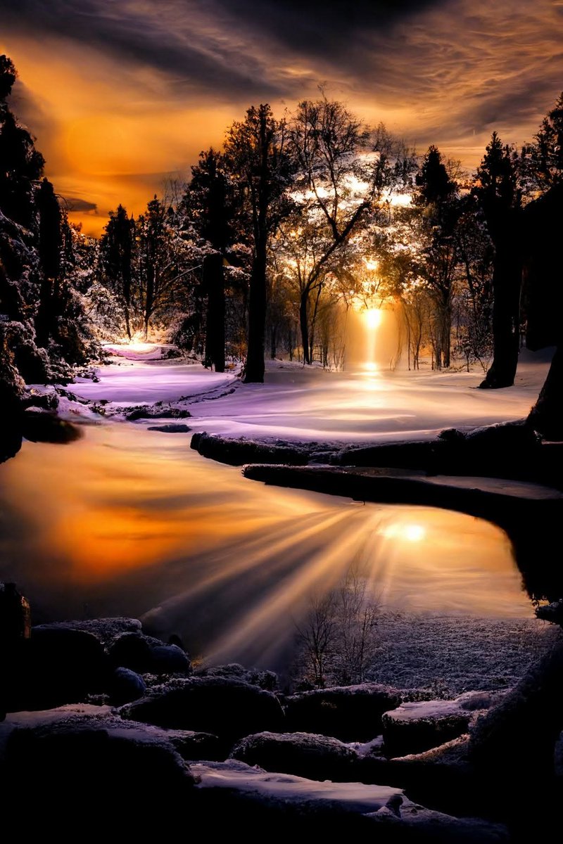 MonicaDrie's tweet image. 💛☃️🖤