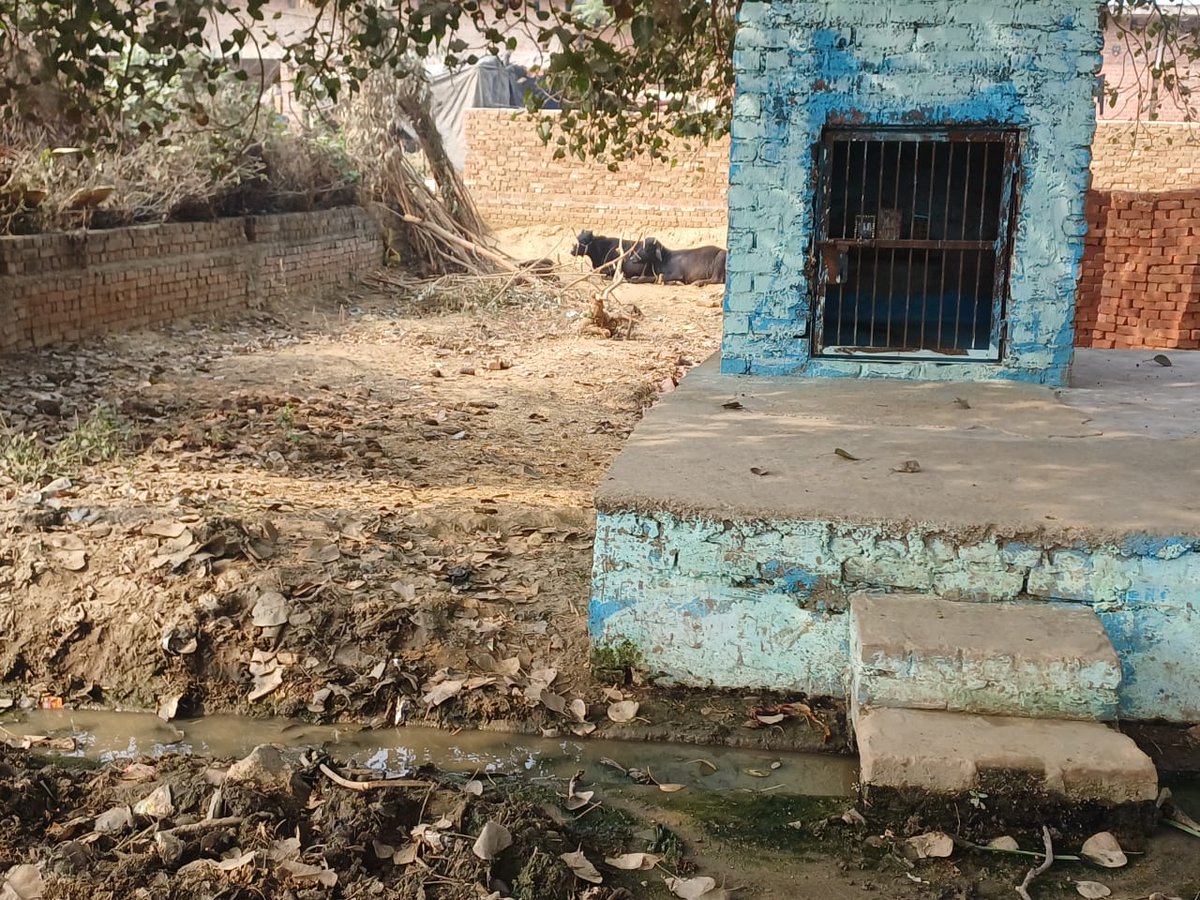 news21national's tweet image. #Budaun : लाखों का शौचालय बना शोपीस, गांव में बदहाली पर भड़के ग्रामीण

#BudaunBreaking #VillageProblems #PanchayatFailure #PublicAnger #BreakingNews #LatestNews #News21National @dmbudaun