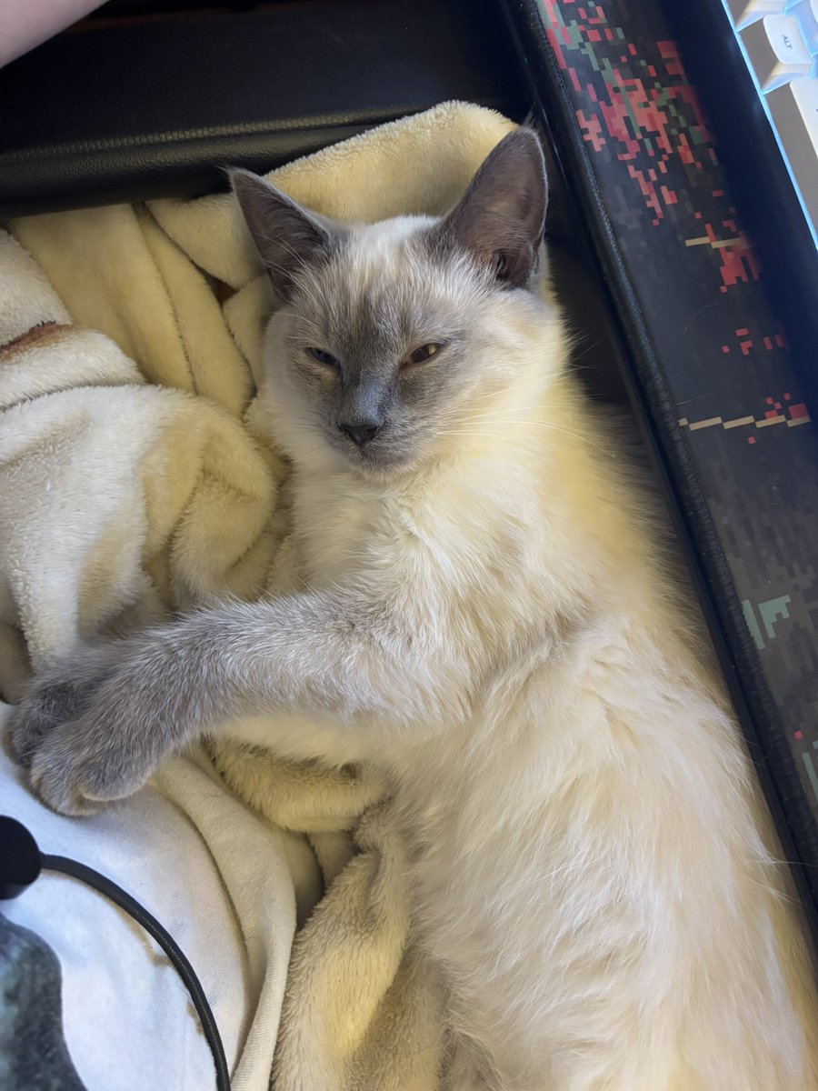 Rawt (@rawt4k) on Twitter photo 