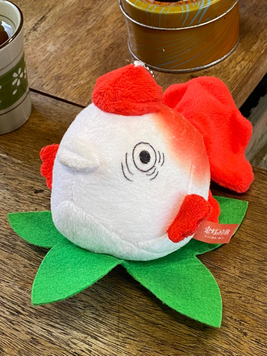 ⭐︎にゃこ⭐︎ あにゃねこ (@Anyaneko115) / Posts / X