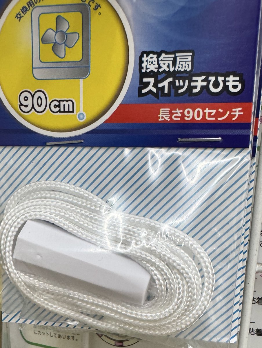 ぴろぴろ (@piro_o) / Posts / X