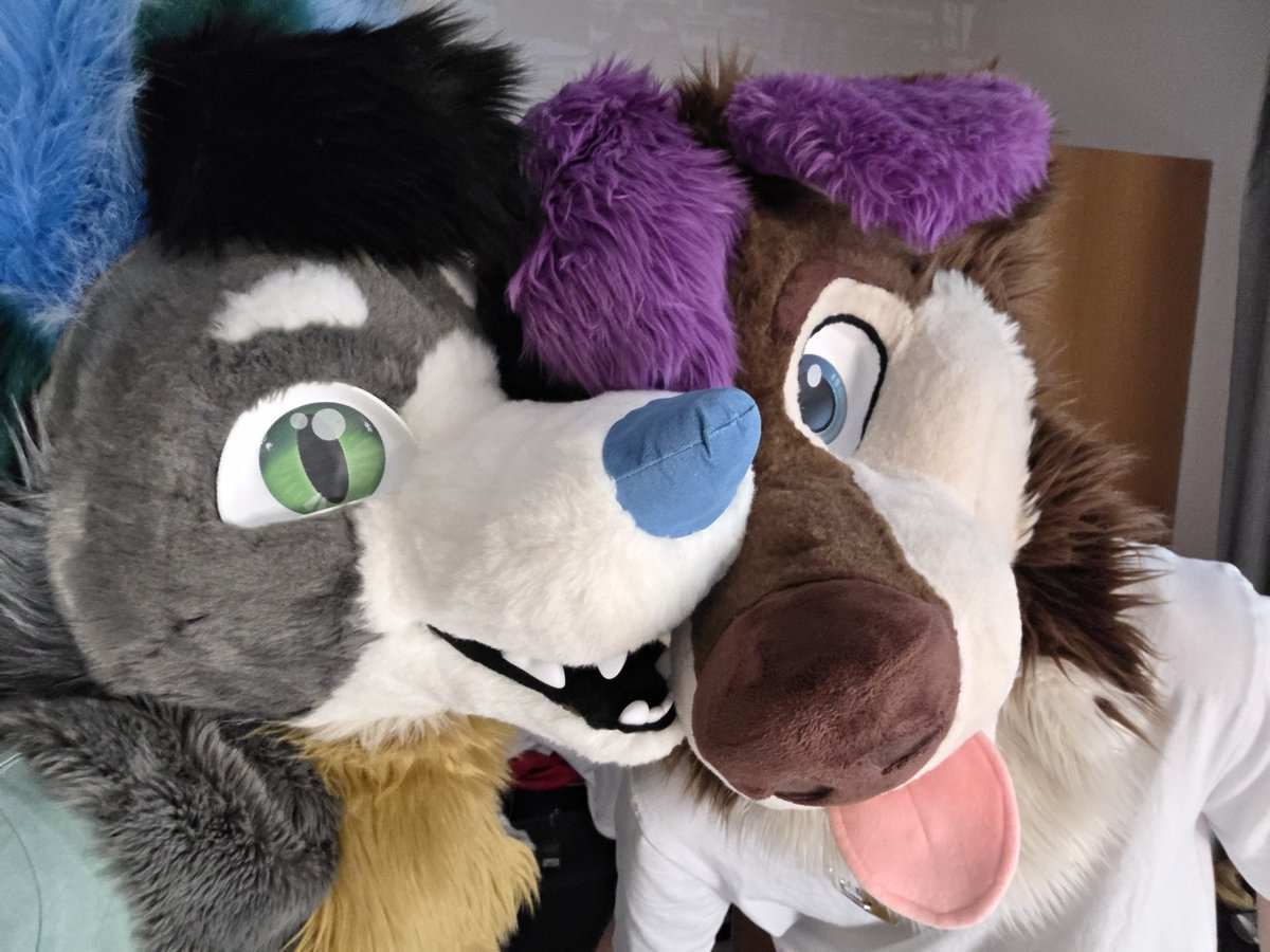Mirafloofert's tweet image. Ooowh noooo am getting eaten this Saturday 😳
someone help and stop @CyonFR 

Before he gives me a mark 🦷

#fursuitsaturday #fursuit