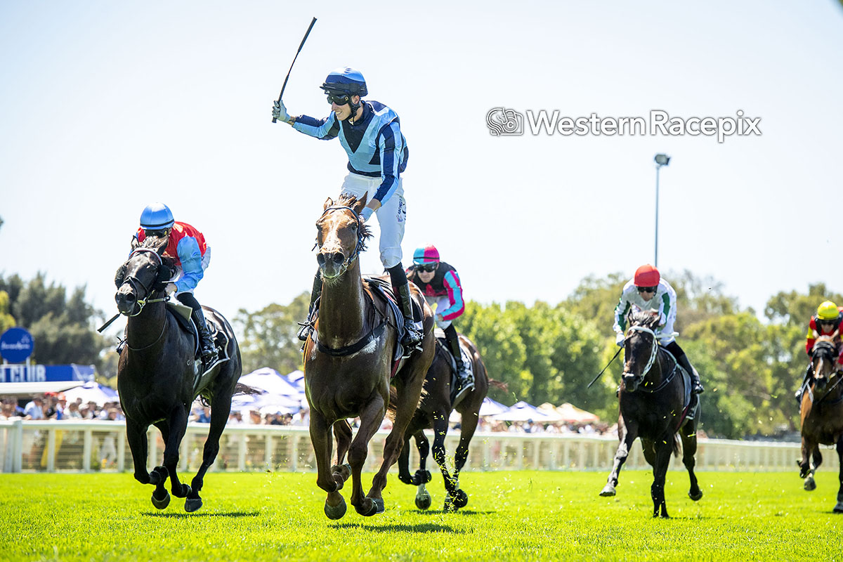 Western Racepix tweet media