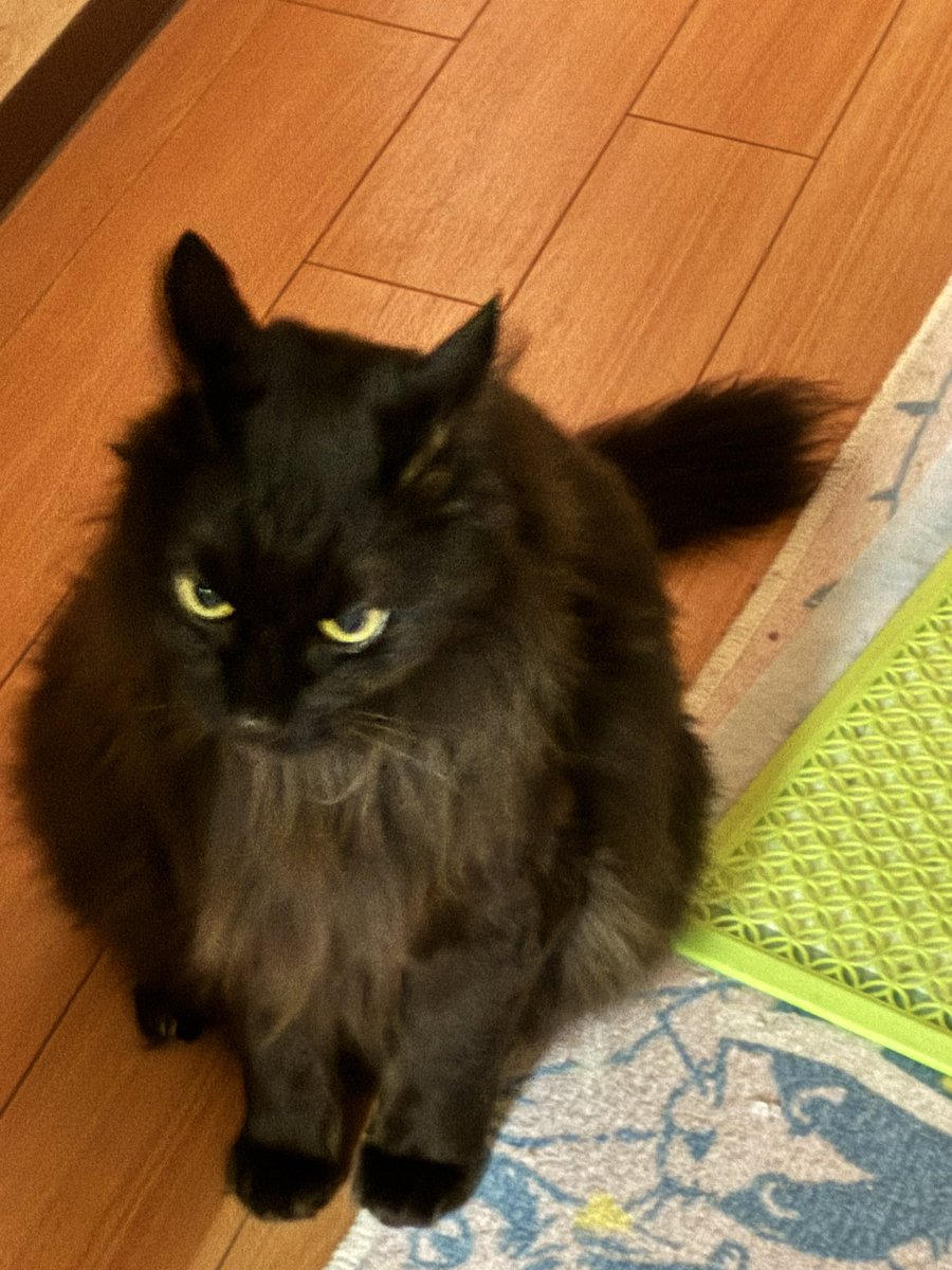 🦦眇眼🦦 (@1954love_hate_) / Posts / X