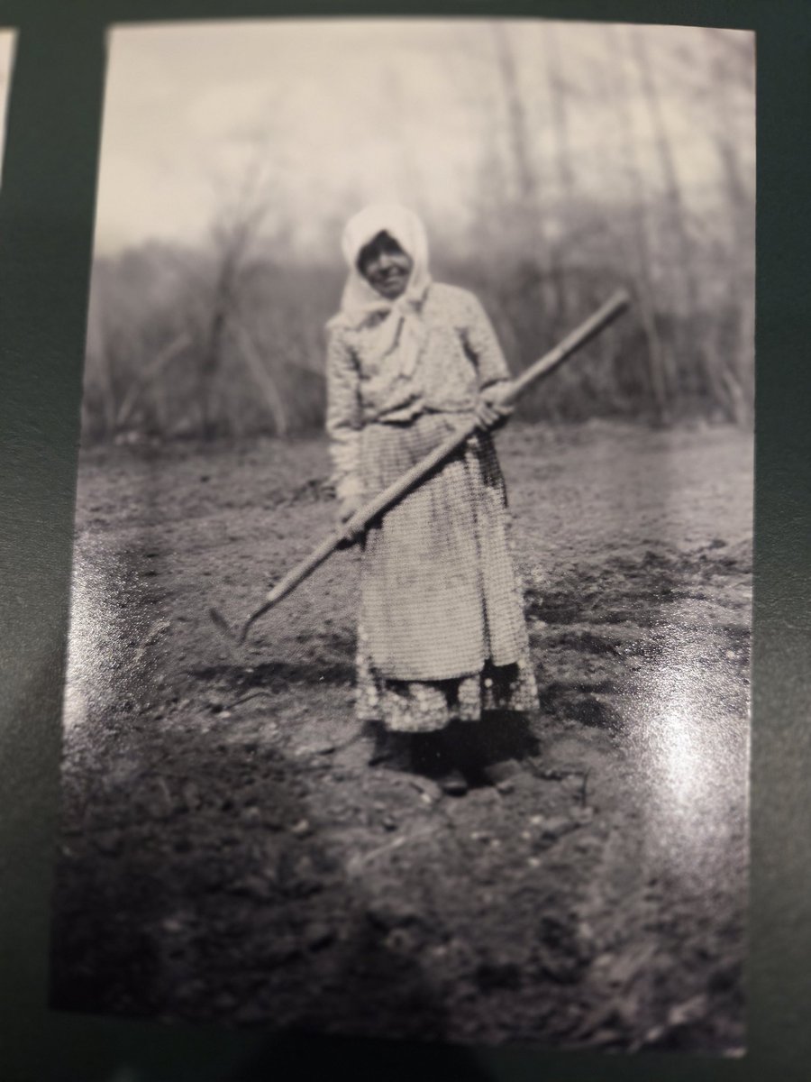 BCBarracuda tweet media