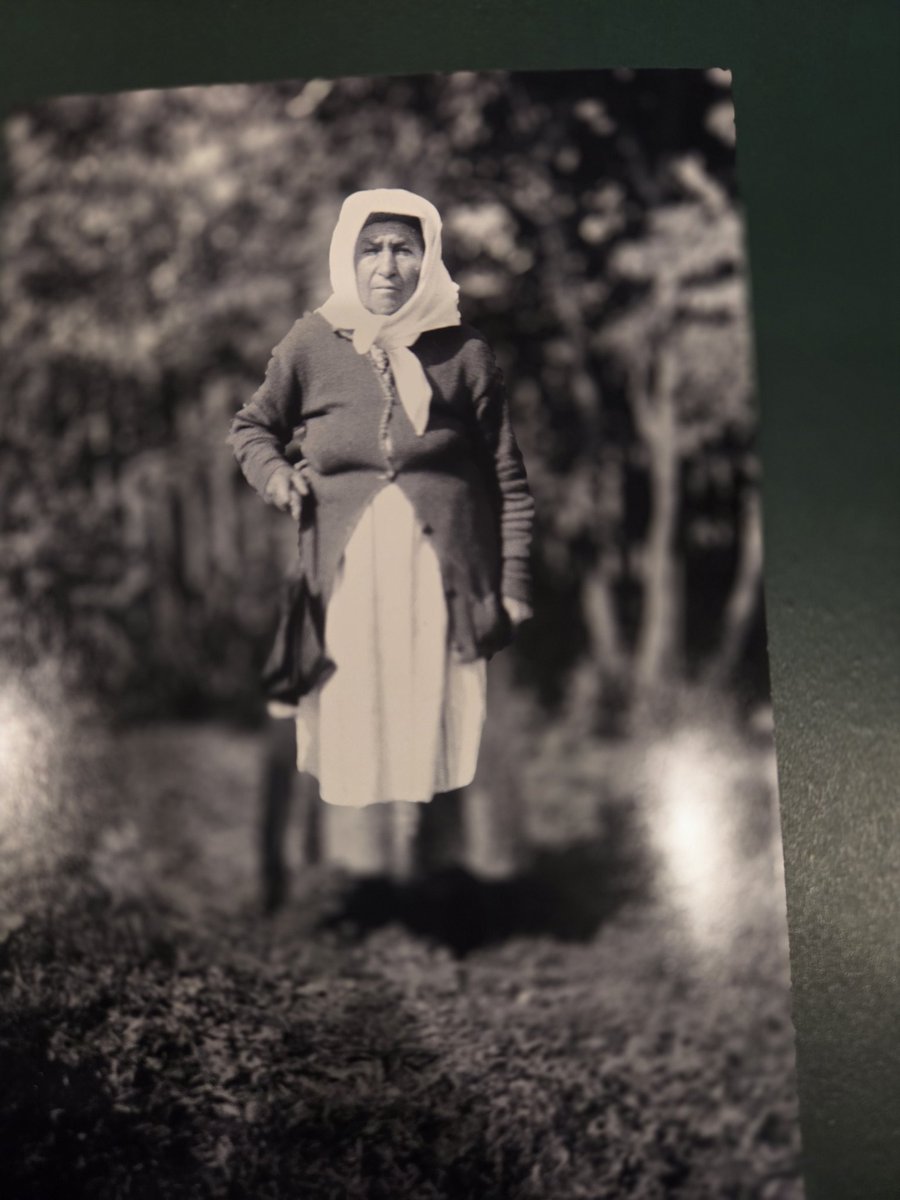 BCBarracuda tweet media