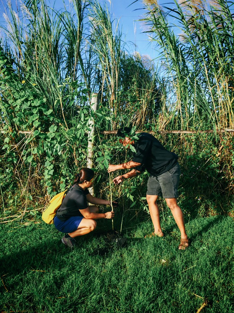 Dylan Elijah tweet media