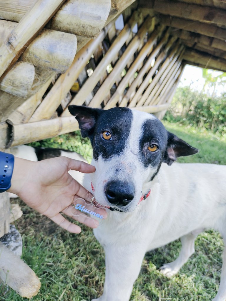 Dylan Elijah tweet media