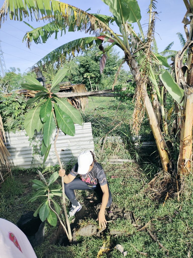 Dylan Elijah tweet media