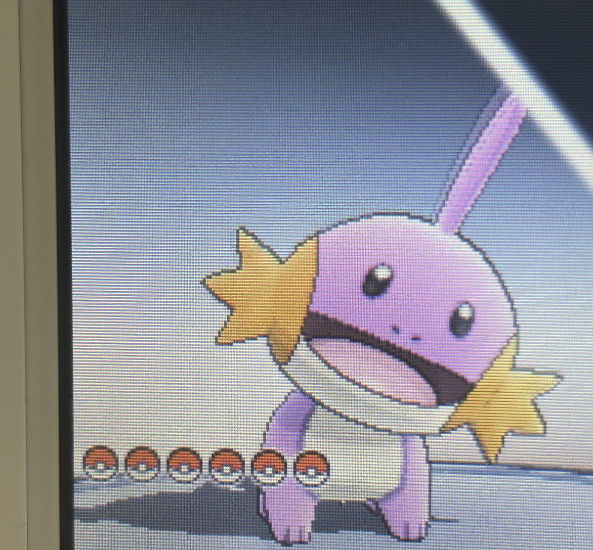 間違いなくこれ、、愛おしすぎる 1万回の末に来てくれた色ゴロちゃん