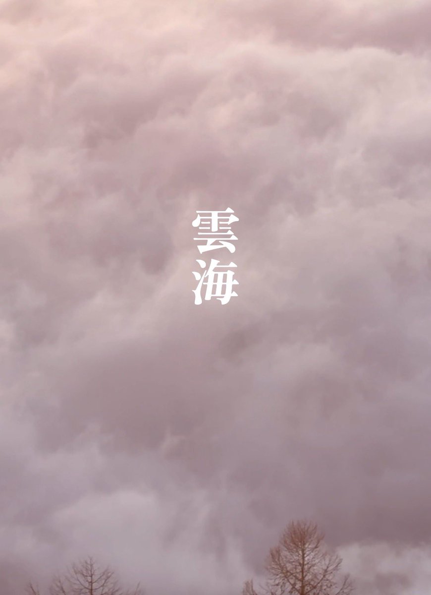 13_459's tweet photo. 【雲海】甘利山に呼ばれたのか？
もっと高い雲の上へ…

ゆっくり見られるYouTubeロングで
雲のじゅうたんをご覧ください
https://t.co/vLXlhoHa1C

#雲海 #富士山 #甘利山 https://t.co/ORKuMpg5Mi