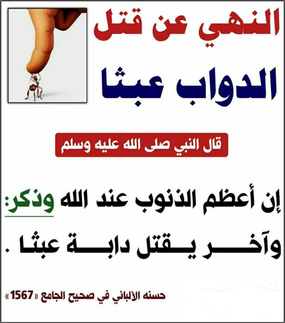 أبو علي الأثري (@abualathari) on Twitter photo 