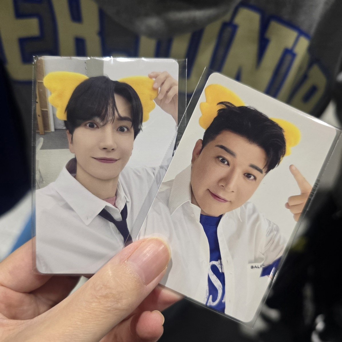 SUPERJUNIOR イトゥク コアラのマーチ スパショ トレカ 交換] Super Junior スパショ コアラのマーチ トレカ 譲: イトゥク