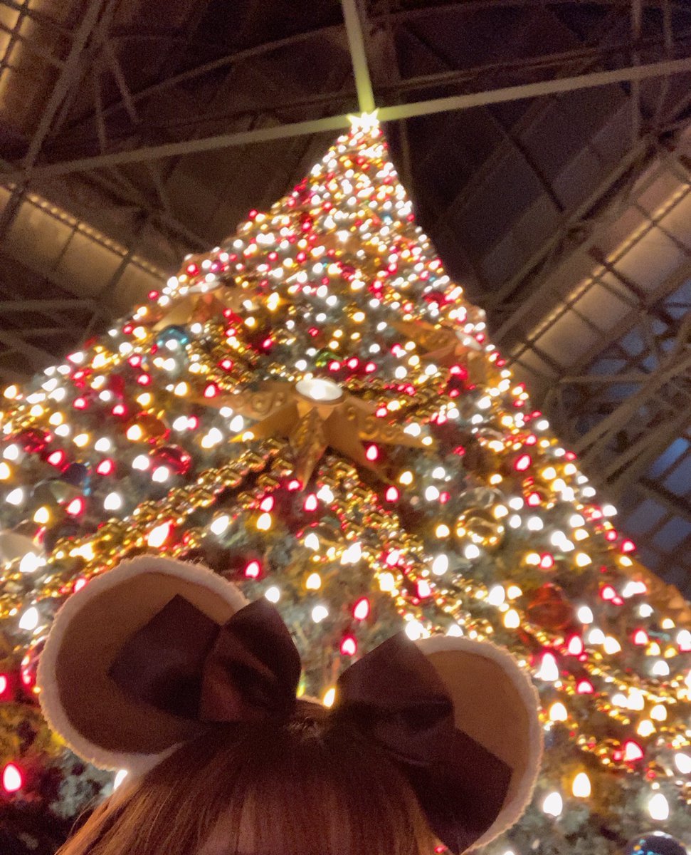 2025年が終わる前に部屋のものを半分は断捨離したい佐伯です。いやそれ