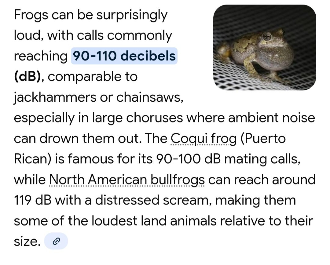 1_8mPeter's tweet photo. @regularpunks @Sheipiter Frogs are loud 🐸

GRiBBiTS / TIBBIR https://t.co/chYB559Kbp