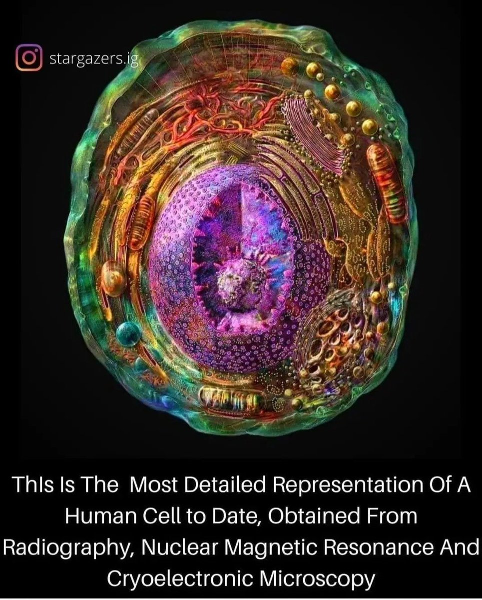 FreeRangeHumans's tweet image. Humans are fucking incredible!